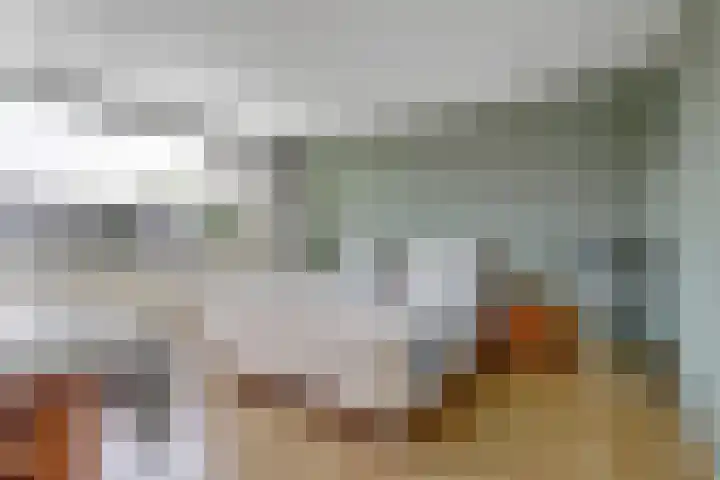 Deimospad 6 Spijkenisse thumbnail 13