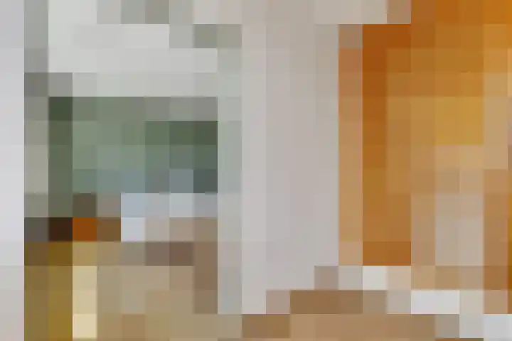 Deimospad 6 Spijkenisse thumbnail 16