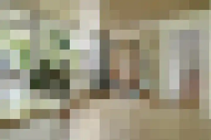 Deimospad 6 Spijkenisse thumbnail 18