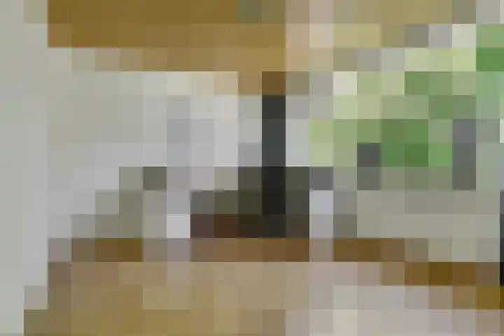 Deimospad 6 Spijkenisse thumbnail 19