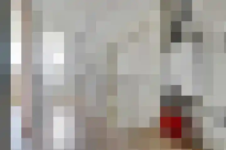 Deimospad 6 Spijkenisse thumbnail 20