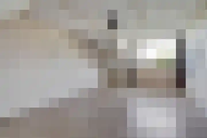 Deimospad 6 Spijkenisse thumbnail 22