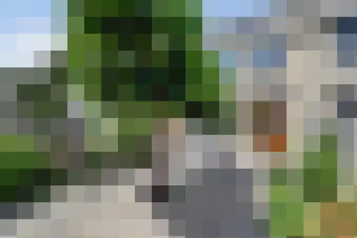 Deimospad 6 Spijkenisse thumbnail 23