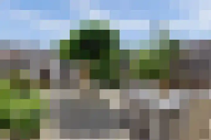 Deimospad 6 Spijkenisse thumbnail 25