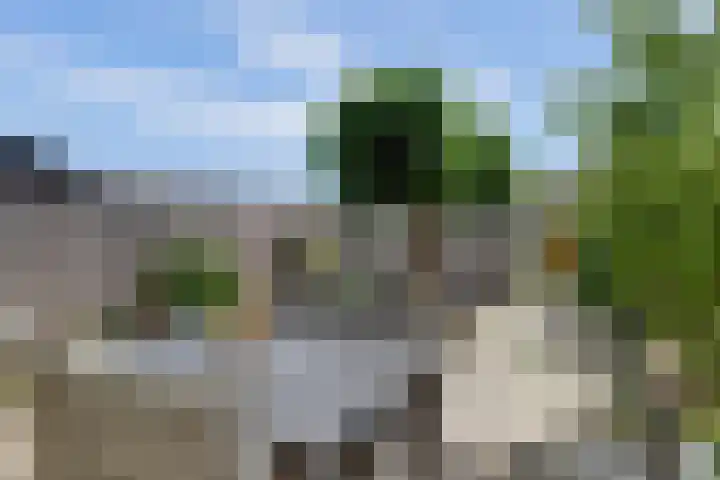 Deimospad 6 Spijkenisse thumbnail 26