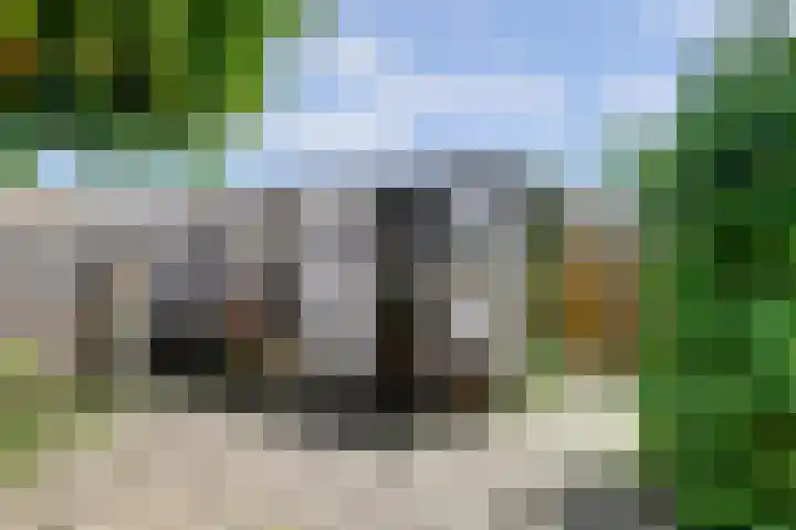 Deimospad 6 Spijkenisse thumbnail 27