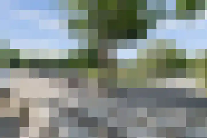 Deimospad 6 Spijkenisse thumbnail 28