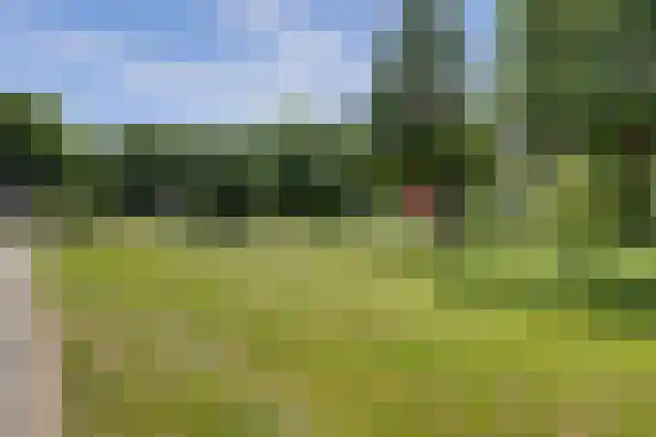 Deimospad 6 Spijkenisse thumbnail 29