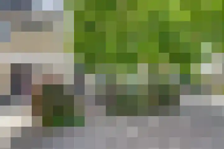 Deimospad 6 Spijkenisse thumbnail 30