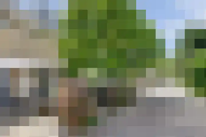 Deimospad 6 Spijkenisse thumbnail 31