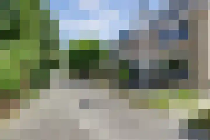 Deimospad 6 Spijkenisse thumbnail 36