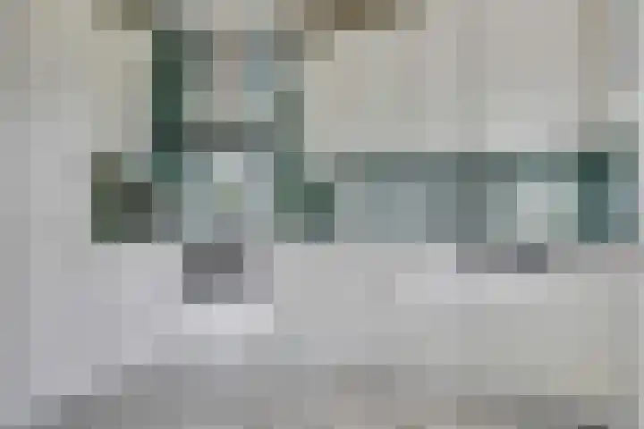 Deimospad 6 Spijkenisse thumbnail 5