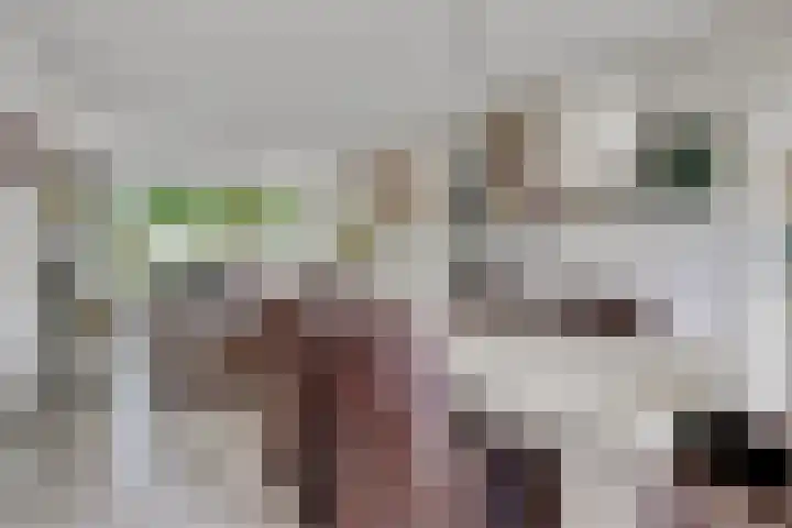 Deimospad 6 Spijkenisse thumbnail 6