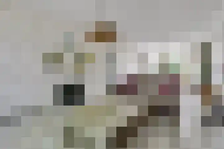 Deimospad 6 Spijkenisse thumbnail 7