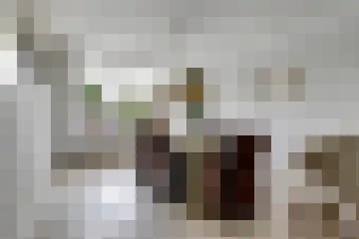 Deimospad 6 Spijkenisse thumbnail 8