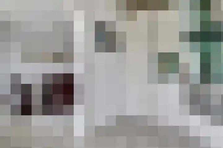 Deimospad 6 Spijkenisse thumbnail 9