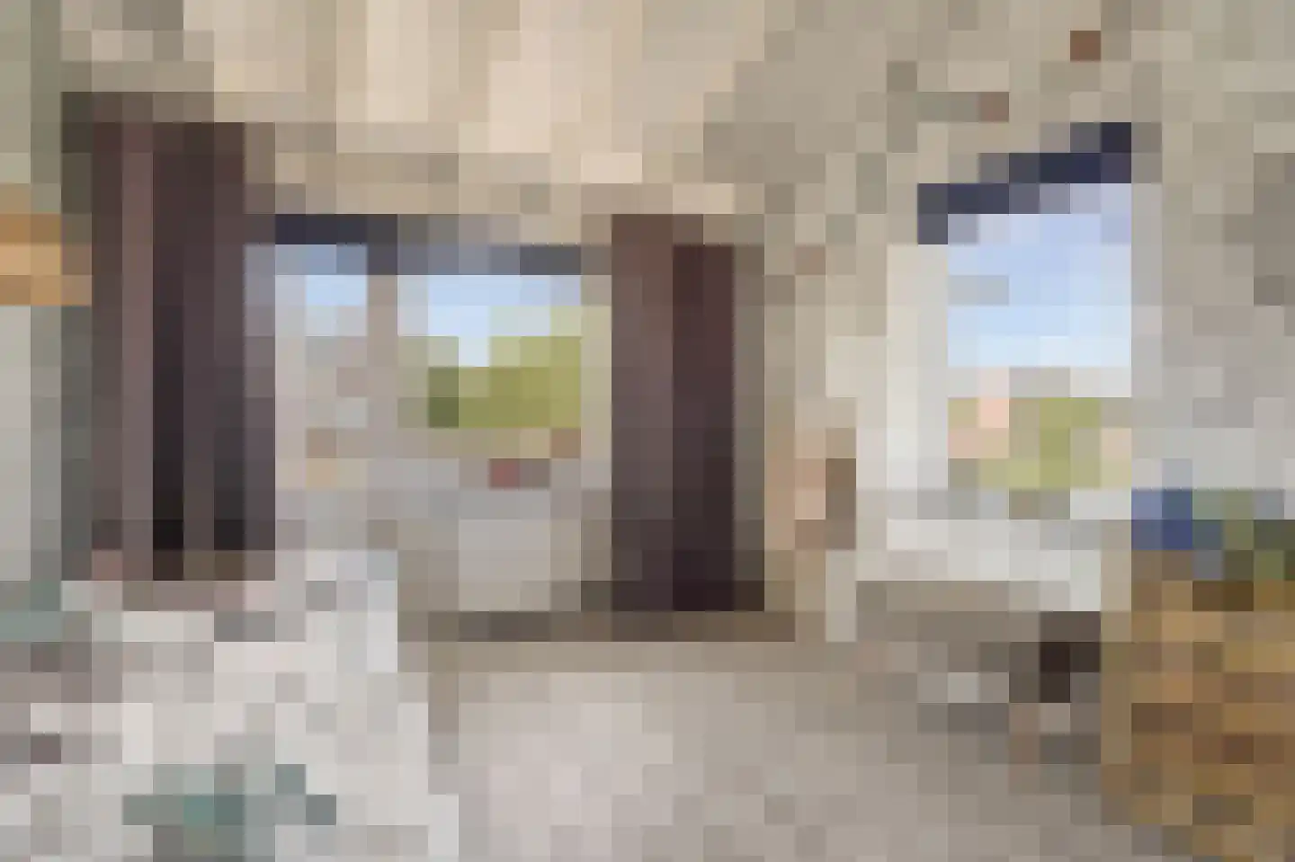 Deining 33 Katwijk thumbnail 17