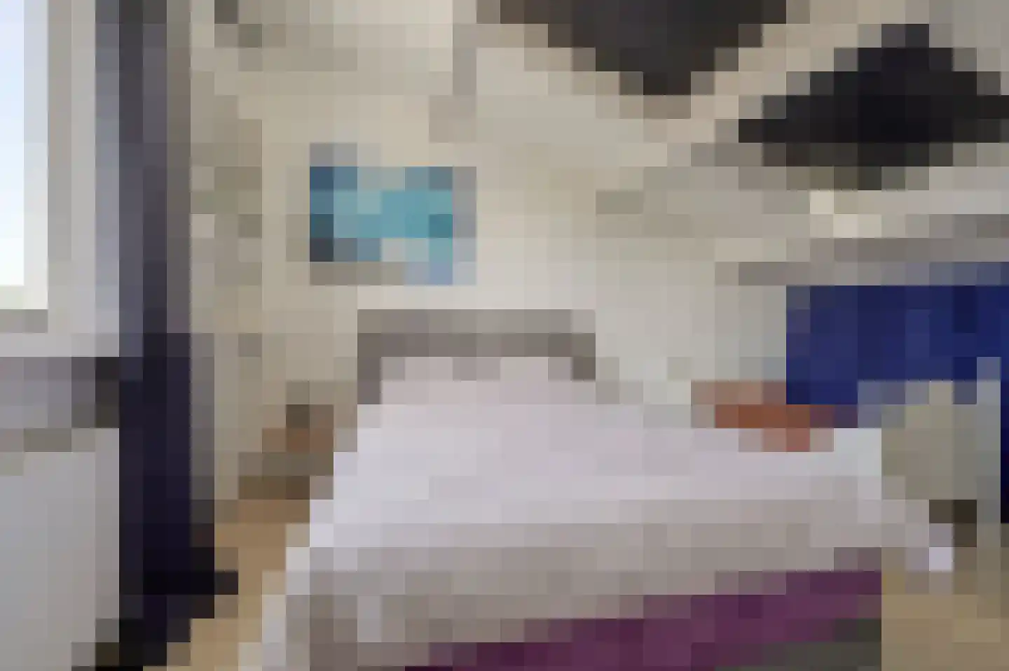 Deining 33 Katwijk thumbnail 24