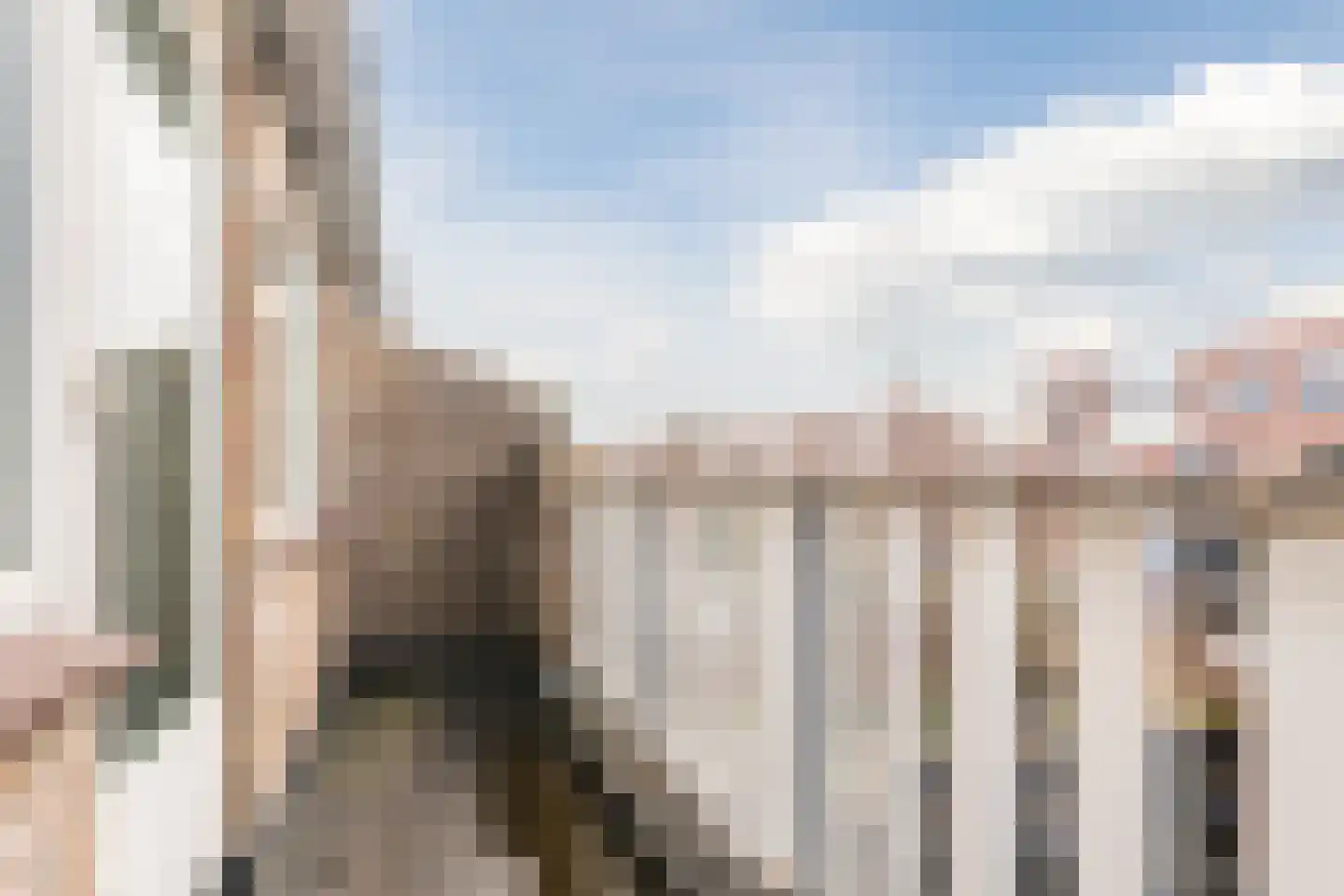 Deining 9 Katwijk thumbnail 32