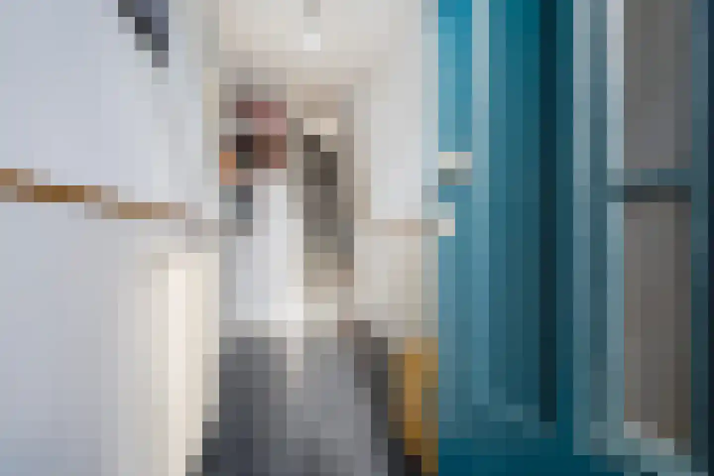 Deinumerstraat 6 Leeuwarden thumbnail 17