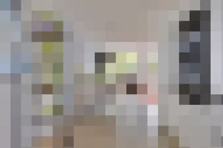 Deinzestraat 3 Breda thumbnail 13