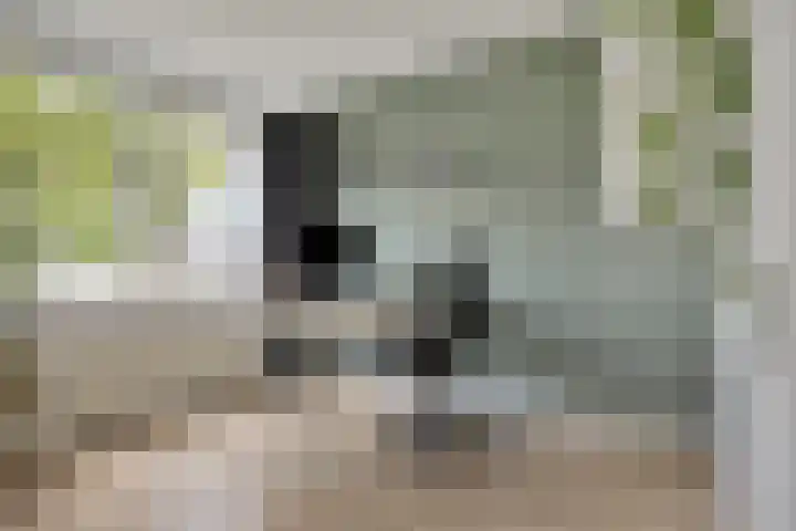 Deinzestraat 3 Breda thumbnail 17