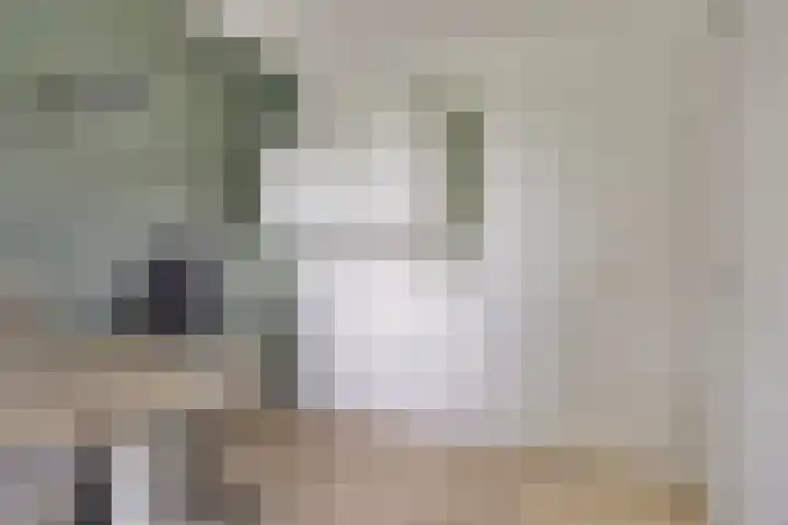 Deinzestraat 3 Breda thumbnail 18