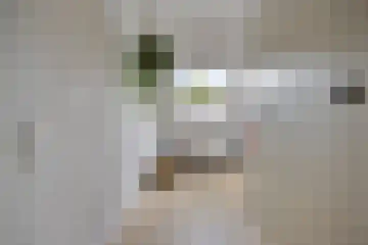 Deinzestraat 3 Breda thumbnail 19