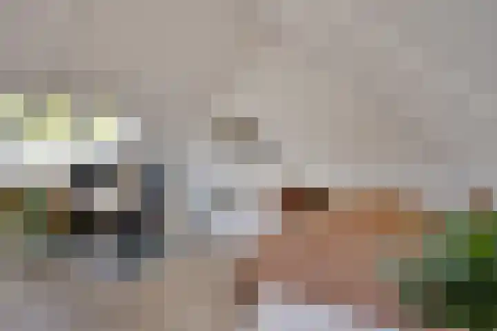 Deinzestraat 3 Breda thumbnail 25