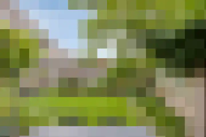 Deinzestraat 3 Breda thumbnail 29