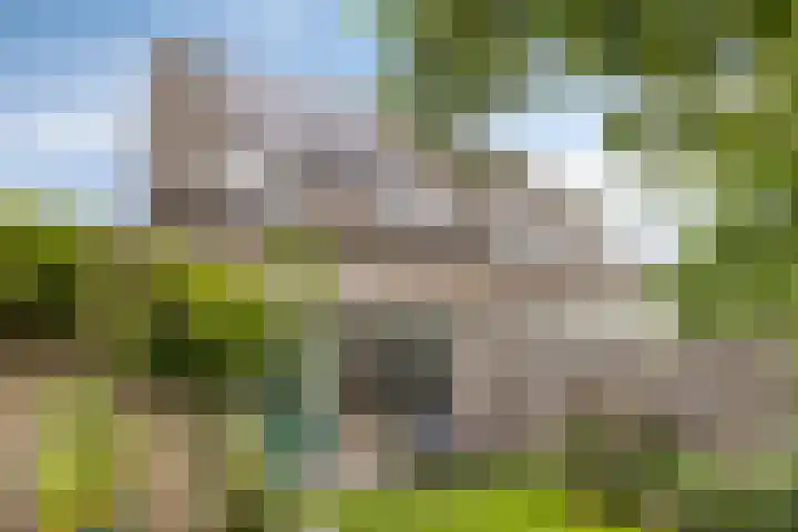 Deinzestraat 3 Breda thumbnail 30