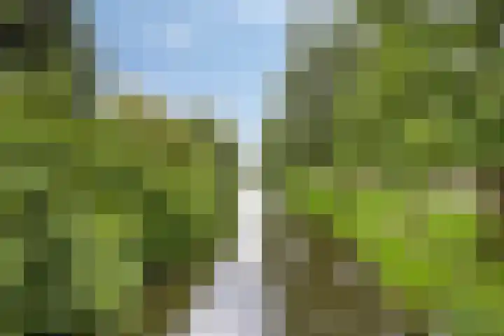 Deinzestraat 3 Breda thumbnail 32