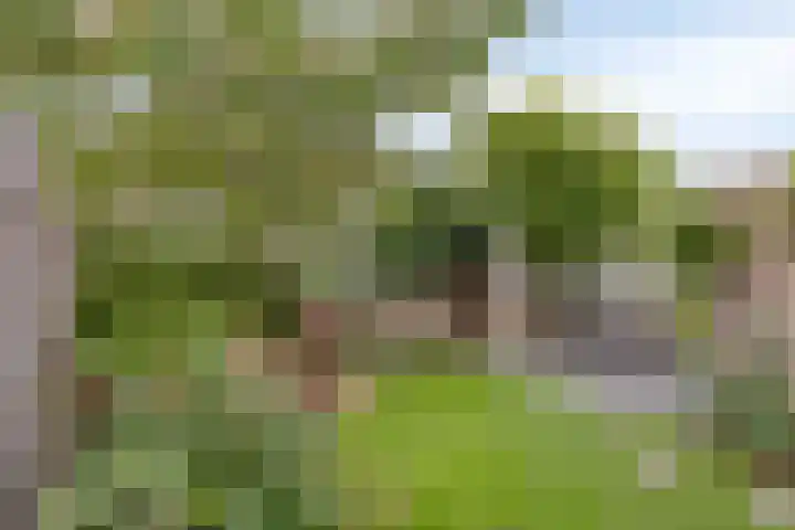 Deinzestraat 3 Breda thumbnail 4