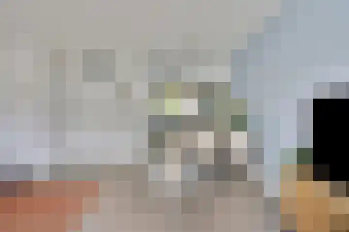 Deinzestraat 3 Breda thumbnail 8