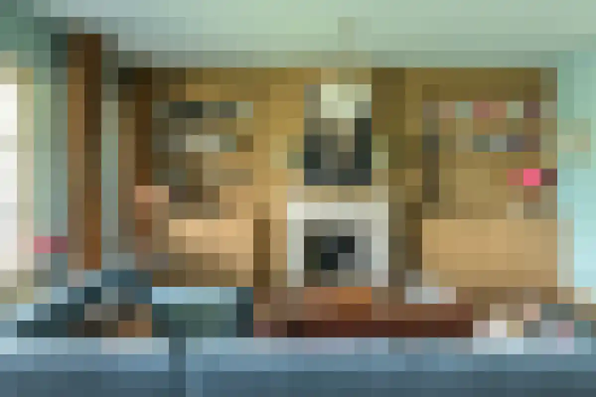 Dek 13 Joure thumbnail 4