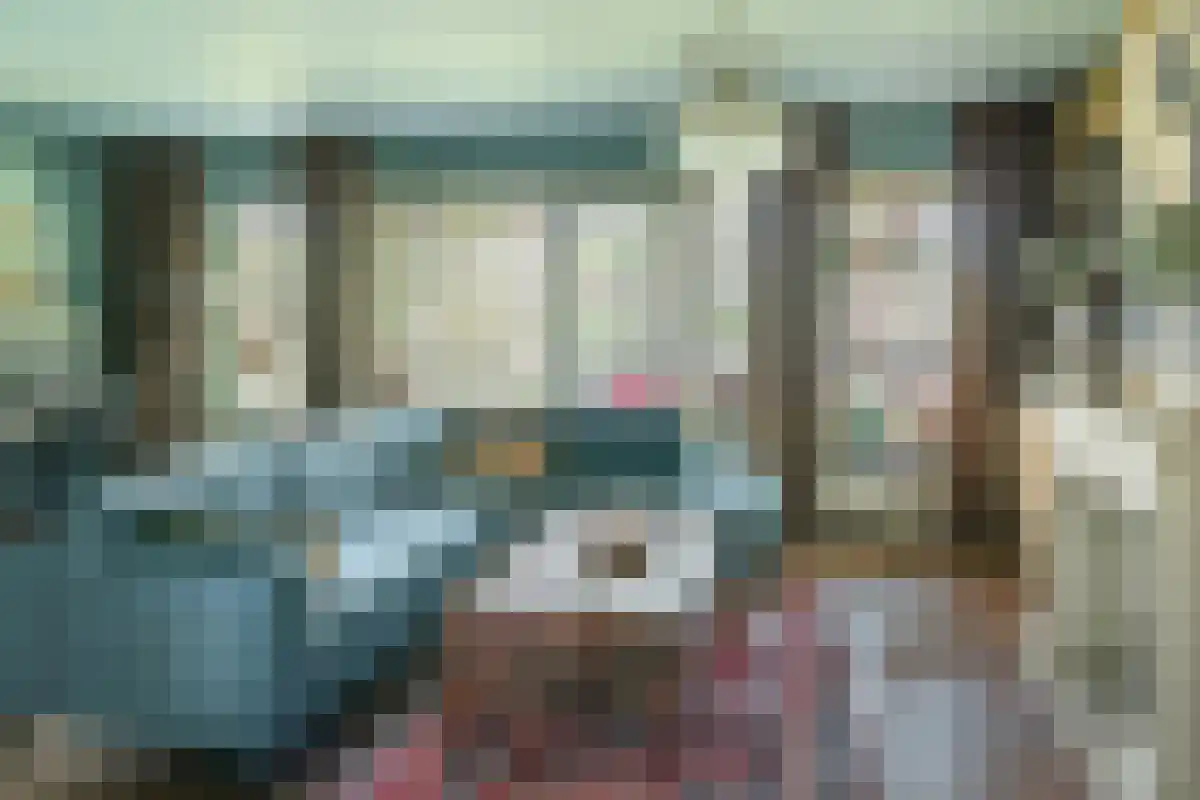 Dek 13 Joure thumbnail 5
