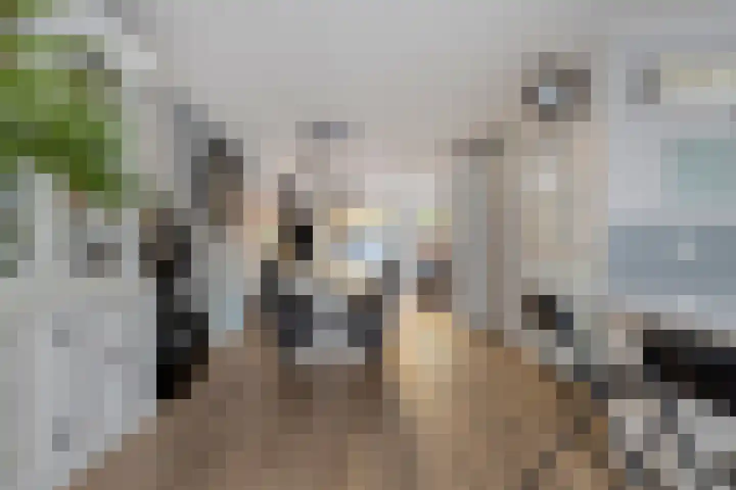 Dek 19 Almere thumbnail 15