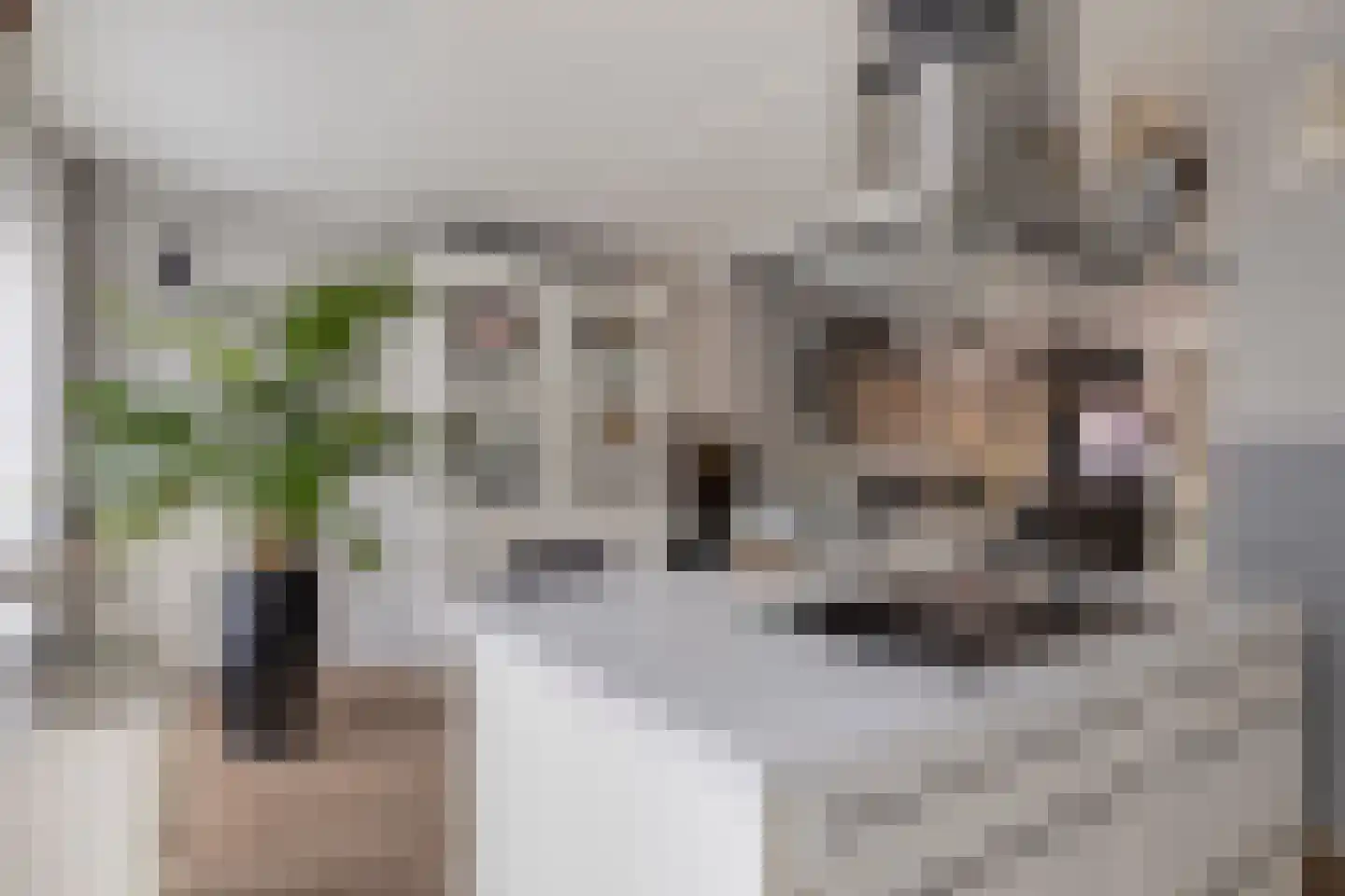 Dek 19 Almere thumbnail 18