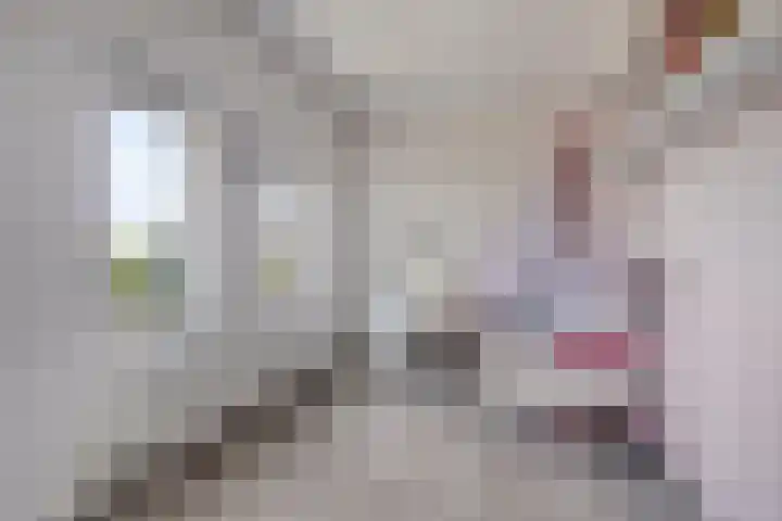 Dek 35 Almere thumbnail 22