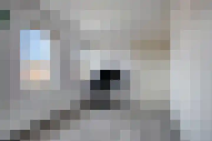 Dek 35 Almere thumbnail 25