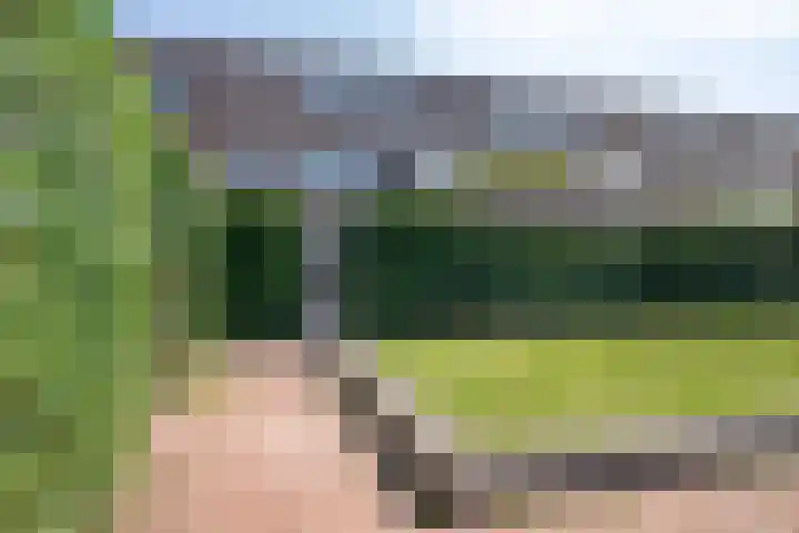 Dek 35 Almere thumbnail 28