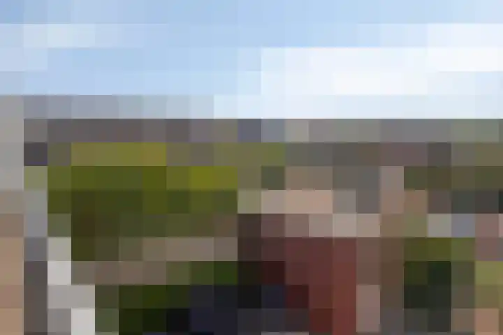 Dek 35 Almere thumbnail 30