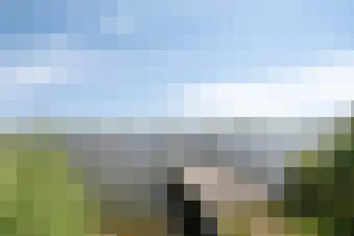 Dek 35 Almere thumbnail 32