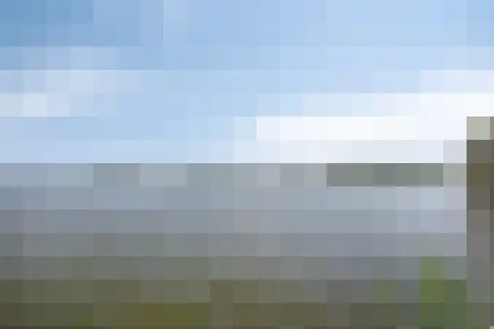 Dek 35 Almere thumbnail 33