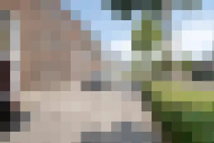 Dek 35 Almere thumbnail 6