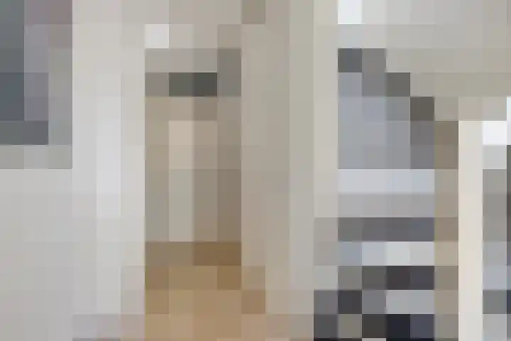Dek 35 Almere thumbnail 8