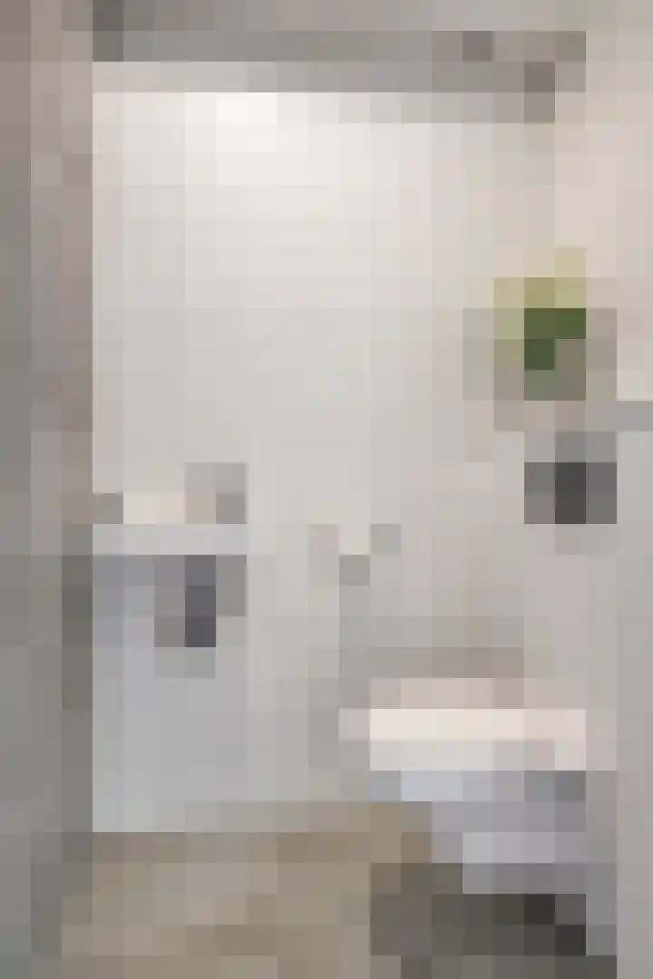 Dek 35 Almere thumbnail 9