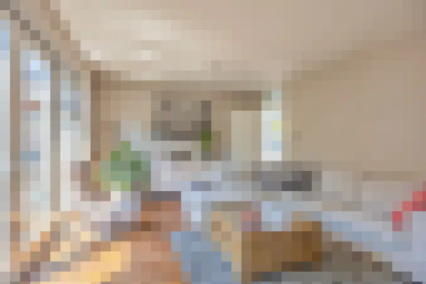 Dek 4 Groningen thumbnail 15