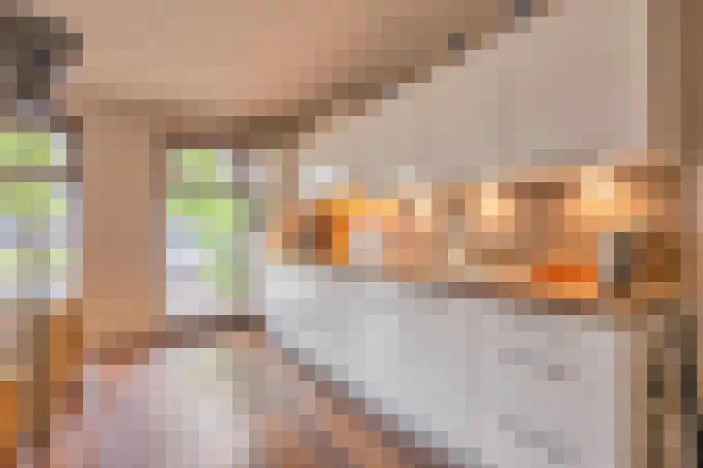 Dek 4 Groningen thumbnail 20