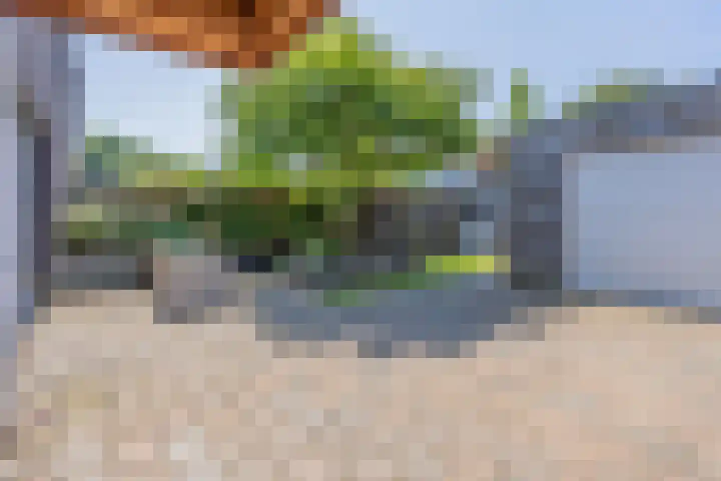 Dek 4 Groningen thumbnail 50